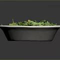 Fresh Healthy Salad Bowl With Leafy Greens Tomatoes And Purple Cabbage