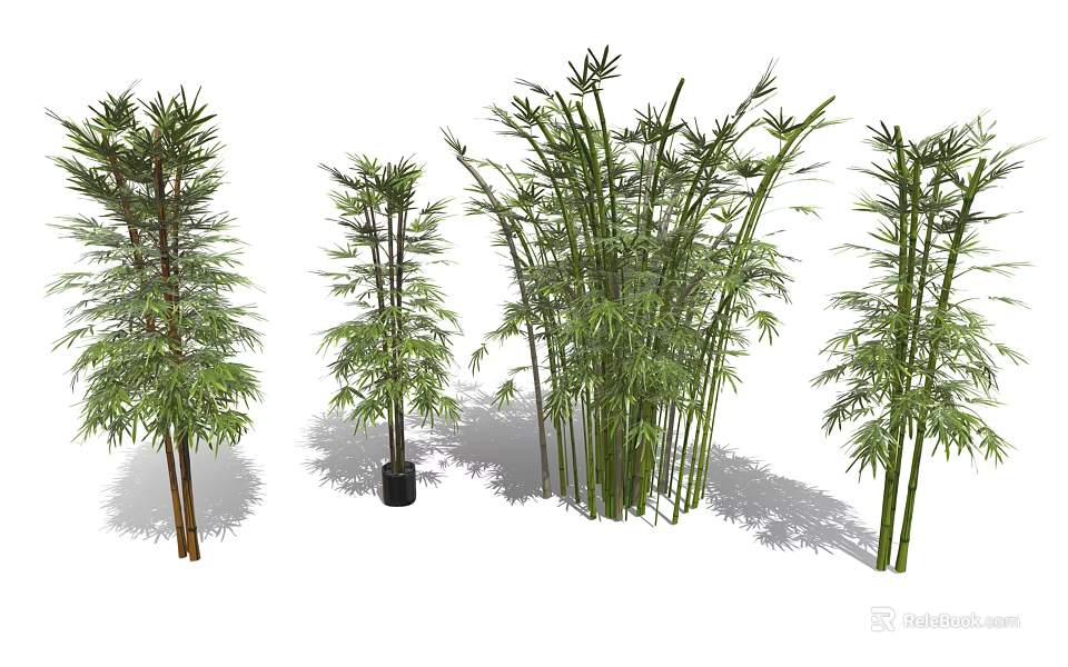 Various Bamboo Plants Featuring Different Heights Potted and Clumping Varieties with Green Leaves 3d model 