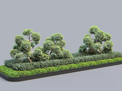 Roadside Greenery Facilities With Neatly Trimmed Shrubs And Ornamental Trees Design 3d model