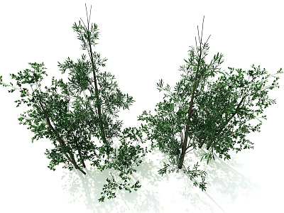 Green Plants With Vibrant Lush Foliage And Bushy Leafy Branches 3d model