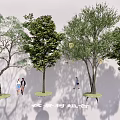 Decorative Lights Illuminate Night Scene Tree Combination with Walking People