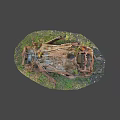 The wreck of a burned-out car 3d model
