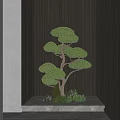 Unique Pruned Tree With Round Green Canopy On Gray Platform Dark Vertical Striped Wall