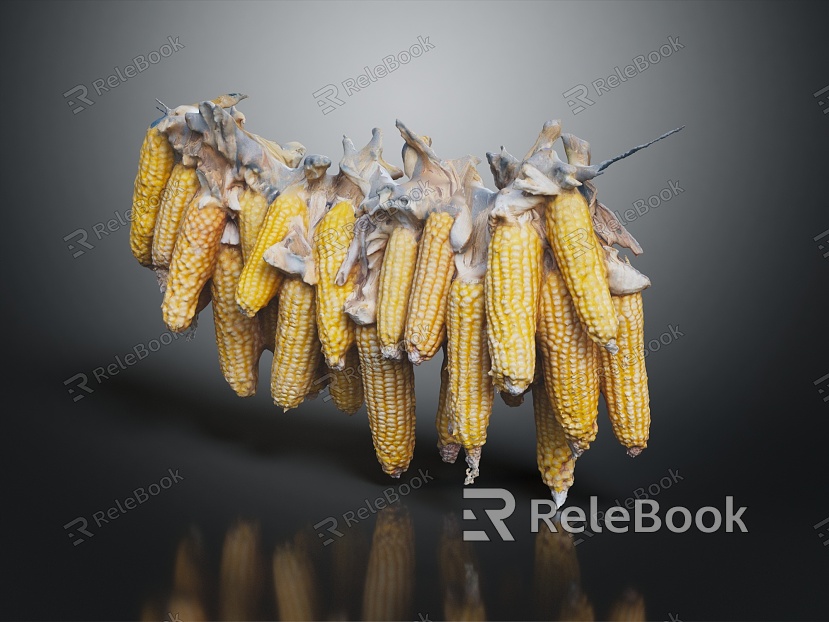 Modern corn bunched dried corn model