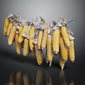Fresh Yellow Corn with Husks on Dark Background Showing Reflection 3d model