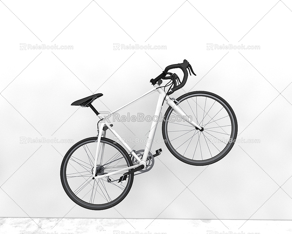 Bicycle model