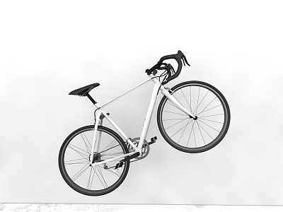 Bicycle model