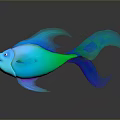 Vibrant Colorful Tropical Fish With Blue Pink Orange Hues And Reflection