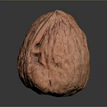Single Fresh Brown Walnut With Natural Textured Shell On Dark Surface