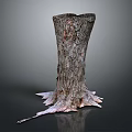 Natural Wood Stump With Intricate Root Structure And Stone Accents