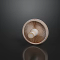 Fresh Round Mushroom With White Stem Gills On Dark Background