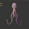Elegant Purple Marine Squid with Long Slender Tentacles and Pink Hues