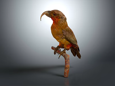 Modern Birds 3d model