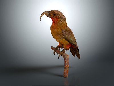 Modern Birds 3d model