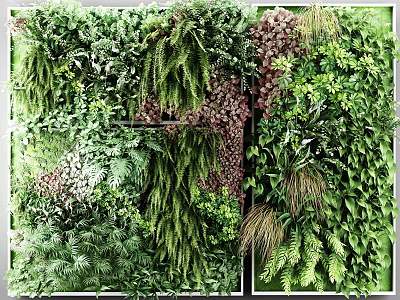 Lush Indoor Living Plant Wall with Various Green Foliage and Decorative Plants 3d model