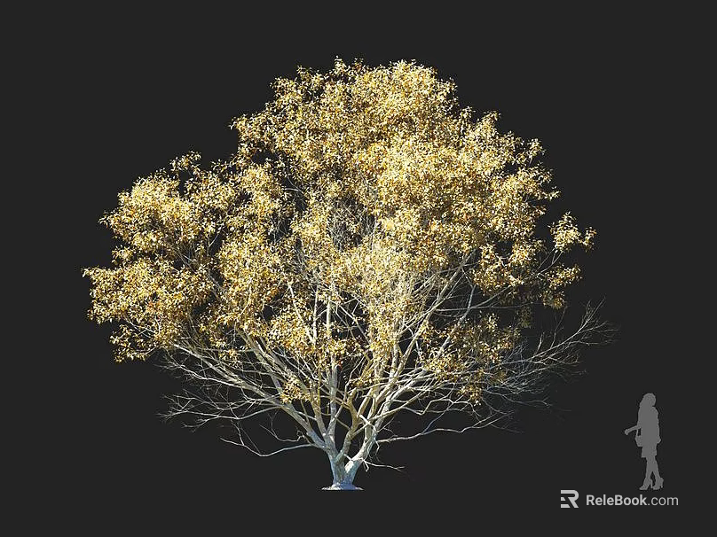 Golden Foliage Arbor With Lush Leaves Against Black Background And Human Silhouette 3d model 
