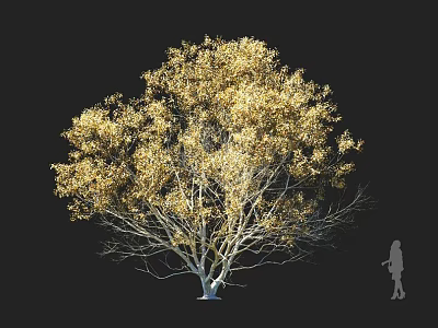 Golden Foliage Arbor With Lush Leaves Against Black Background And Human Silhouette 3d model