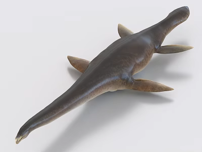 Prehistoric Looking Aquatic Animal With Slender Brown Body Flippers And Long Tail 3d model