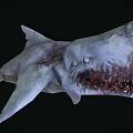Mythical Fierce Shark With Sharp Teeth And Menacing Grayish White Appearance