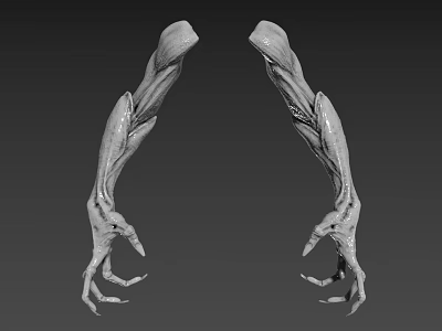 Detailed 3D Anatomical Arm Models Showcasing Muscular Structures And Hair Details 3d model