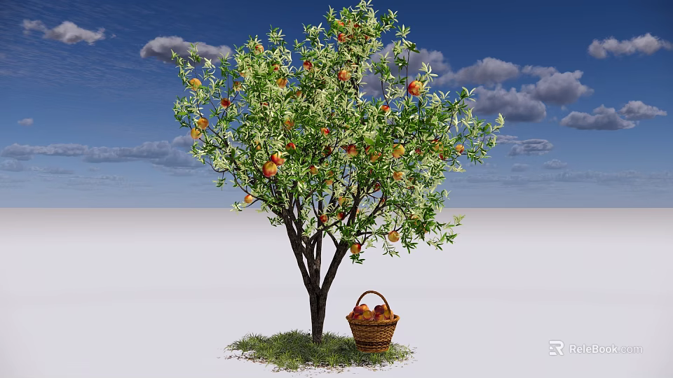 Fruiting Arbor With Ripe Apples And Basket On Green Grass Under Blue Sky 3d model 