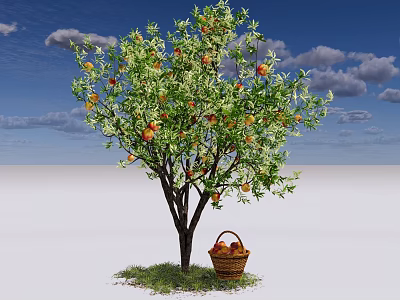 Fruiting Arbor With Ripe Apples And Basket On Green Grass Under Blue Sky 3d model
