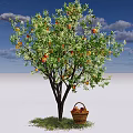 Fruiting Arbor With Ripe Apples And Basket On Green Grass Under Blue Sky