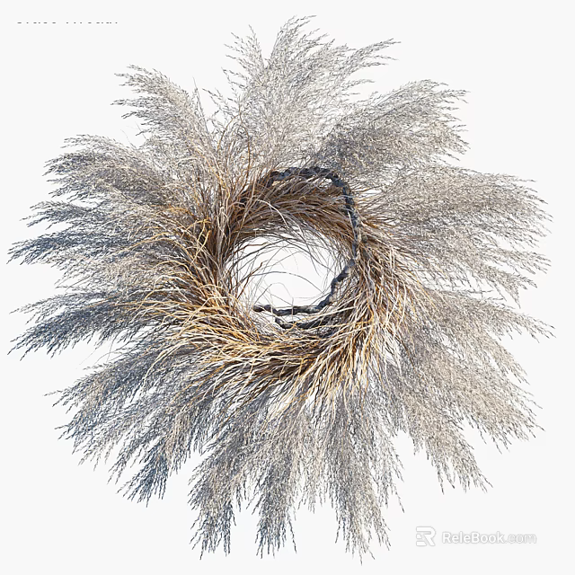Natural Pampas Grass Wreath with Feathery Texture for Home Decor Hanging 3d model 