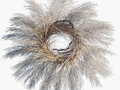 Natural Pampas Grass Wreath with Feathery Texture for Home Decor Hanging 3d model