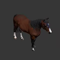 Durable High Quality Equestrian Sports Equipment For Brown Horse Riding Training