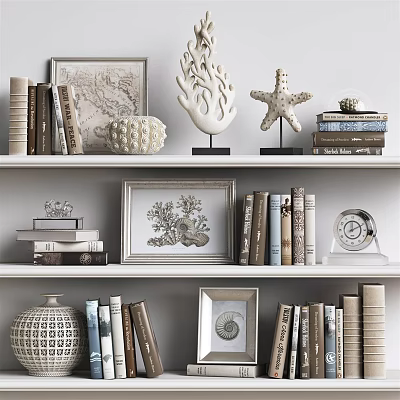 Elegant Decorative Ornament Set with Coral Starfish Shell Ornaments on Bookshelf Books Picture Frames Clock 3d model
