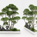 Bonsai Potted Plant with Lush Green Trees Small Stone Lantern Decorative Stones and Rectangular Container