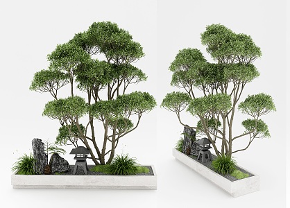 Green Plant Combination Bonsai 3d model