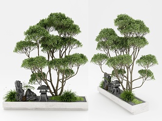 Green Plant Combination Bonsai 3d model