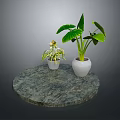 Large Leafy Plant and Small Green Plant in White Pots on Round Marble Tabletop