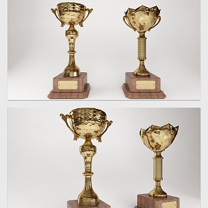 Modern Trophy 3d model