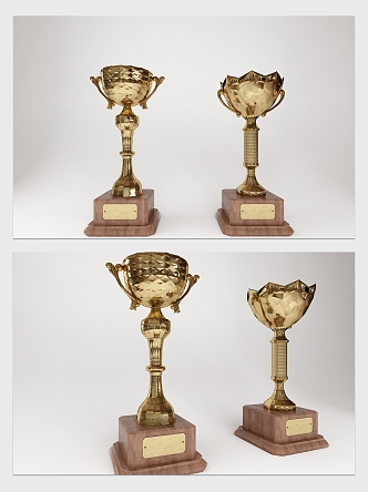 Modern Trophy 3d model