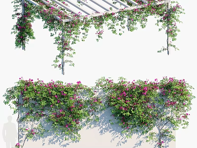 Lush Vines With Pink Flowers And Green Leaves Growing On White Wall And Pergola 3d model