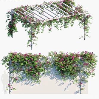 Modern Vine Flower Stand Vine 3d model