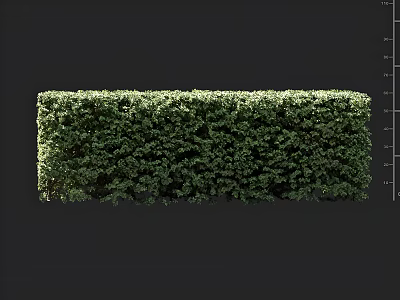 Lush Green Well Trimmed Hedge With Dense Foliage For Garden Landscaping 3d model