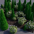 Cone Shaped Evergreen Trees with White Flowering Bushes in Garden Landscape