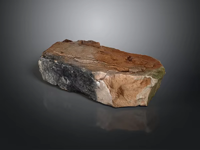 Natural Wood And Stone Material With Brown Gray Textures And Organic Surface 3d model