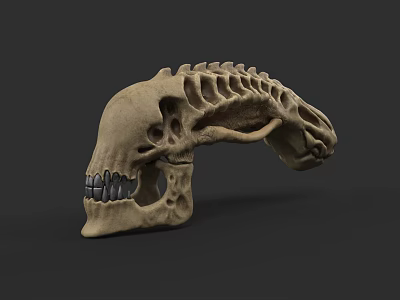 Detailed Animal Skull Sculpture With Anatomical Bone Structure And Texture 3d model