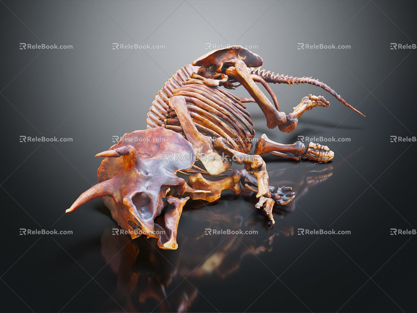 Modern skeleton dinosaur fossil dinosaur skeleton animal skeleton skeleton 3d model