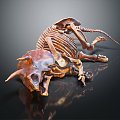 Modern skeleton dinosaur fossil dinosaur skeleton animal skeleton skeleton 3d model