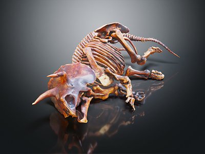 Modern skeleton dinosaur fossil dinosaur skeleton animal skeleton 3d model