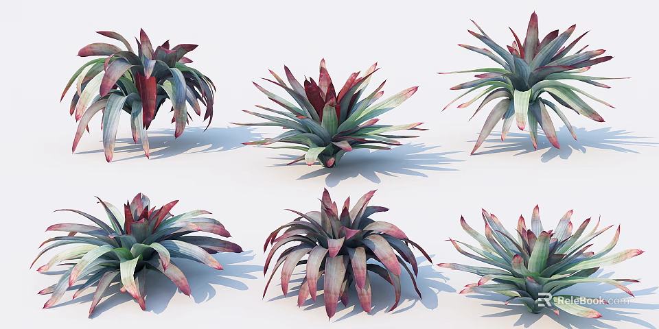 Decorative Potted Bushes With Green And Red Leaves Various Shapes And Varieties 3d model 