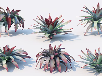 Decorative Potted Bushes With Green And Red Leaves Various Shapes And Varieties 3d model