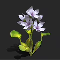 Vibrant Purple Flowering Plant with Lush Green Leaves and Stems