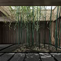 Tall Green Bamboo Indoor Space With Wooden Walls And Roof Structure